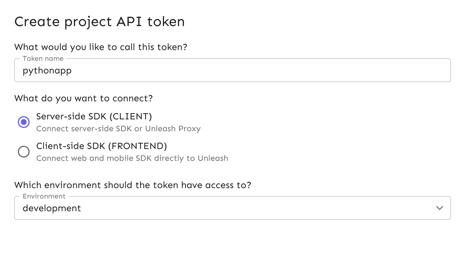 Image of the API token creation form